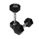 Gym Division Dumbbells
